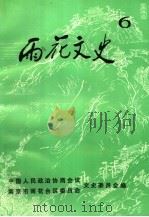 雨花文史  第6辑（1992 PDF版）