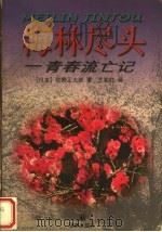 梅林尽头 青春流亡记 1998 PDF电子版封面 7805678723 (日本)佐野正太郎著;王奕红译