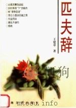 匹夫辞 1997 PDF电子版封面 7806230513 王建章著