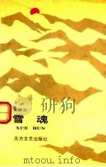 雪魂 1990 PDF电子版封面 7531704439 李耀先著