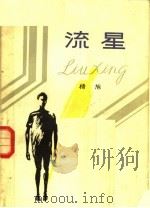 流星 1990 PDF电子版封面 7530905496 杨旭著