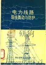电力线路导线舞动与防护 1993 PDF电子版封面 黄经亚编著
