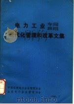 电力工业车间班组现代化管理和改革文集 1985 PDF电子版封面 中国水利电力企业管理协会,山东电力企业管理协会编