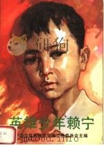 英雄少年赖宁（1989 PDF版）