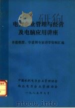 电力企业管理与经营及电脑应用讲座（ PDF版）