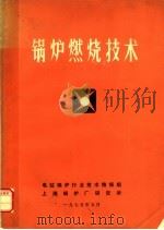 锅炉燃烧技术（ PDF版）