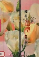 插花造型100例 1999 PDF电子版封面 7805305226 本社编