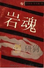 岩魂   1992  PDF电子版封面  7541107832  李天泉，李天雄著 