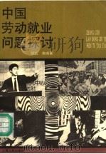 中国劳动就业问题探讨 1994 PDF电子版封面 7208017719 顾凯,施瑾著