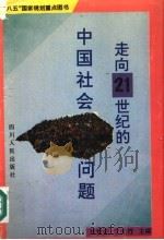 走向21世纪的中国社会问题 1997 PDF电子版封面 7220034555 刘世宁,丁元竹编