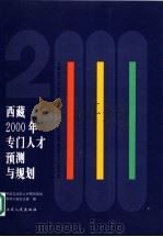 西藏2000年专门人才预测与规划 1994 PDF电子版封面 7223007028 西藏自治区人才预测规划领导小组办公室编