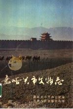 嘉峪关市文物志 1990 PDF电子版封面 7226006685 嘉峪关市志办公室编