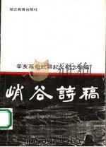 峭谷诗稿（1991 PDF版）