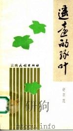 遥远的绿叶   1990  PDF电子版封面  7536702817  舒宗范著 