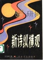 新诗纵横观 1993 PDF电子版封面 7530614762 王玉树著