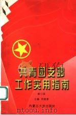 共青团支部工作实用指南 修订版 1998 PDF电子版封面 7810158953 邢健康主编