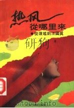 热风从哪里来 从琼瑶到汪国真 1992 PDF电子版封面 7800651533 雨人著
