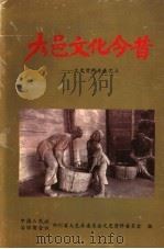 大邑文化今昔 文史资料专集之三 1999 PDF电子版封面 大邑县政协文史资料委员会编