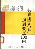 共青团“八五”规划要点100问 1992 PDF电子版封面 7500611285 韩长赋,姜大明主编