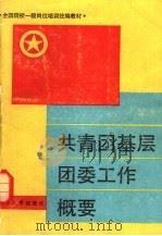 全团院校团干部一级岗位培训统编业务教材 共青团基层团委工作概要 1990.12 PDF电子版封面 7560807593 王敏,吕宜明主编