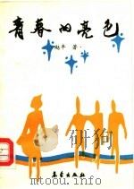 青春的亮色 1992 PDF电子版封面 7502910530 赵丰著