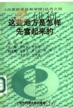这些地方是怎样先富起来的（1993 PDF版）
