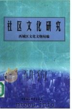社区文化研究（1998 PDF版）
