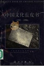 中国文化蓝皮书 1995-1996 1996 PDF电子版封面 7540719176 中国国际文化书院,北京星座文化艺术研究中心主编
