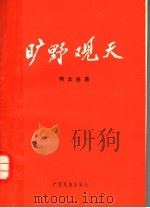 旷野观天 建设有中国特色的社会主义的探索与思考 1991 PDF电子版封面 7536314280 何太由编著