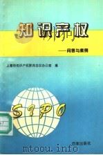 知识产权 问答与案例 1995 PDF电子版封面 7805765391 上海市知识产权联席会议办公室编