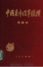 中国县(市)改革纵横 西藏卷 1994 PDF电子版封面 7010019746 江村罗布主编