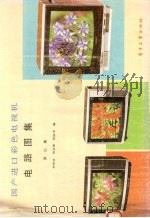 国产进口彩色电视机电路图集 第3集 1987 PDF电子版封面 7505305360 刘学达等编