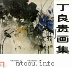 丁良贵画集 1998 PDF电子版封面 7800993698 丁良贵绘;中国三峡画院编
