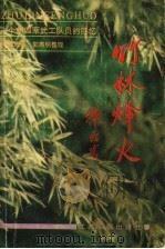 竹林烽火:一个新四军武工队员的回忆 增订本 1992 PDF电子版封面 7214003422 苏忠武著