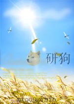 国民政府公报 第180号 民国三十年五月二十八日 PDF电子版封面