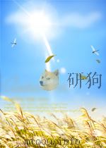 国民政府公报 第416号 民国三十一年十二月六日 PDF电子版封面 国民政府公报事务所