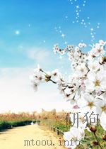 国民政府公报 第424号 民国三十一年十二月二十五日 PDF电子版封面 国民政府公报事务所