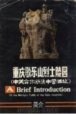 重庆歌乐山烈士陵园：中美合作所集中营旧址（ PDF版）