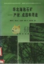 华北海泡石矿  产状、成因和用途（1996 PDF版）