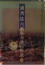 滇西陆内裂谷与造山作用 滇西地区印支期后的构造演化 1996 PDF电子版封面 7562510725 何科昭,赵崇贺,何浩生等著