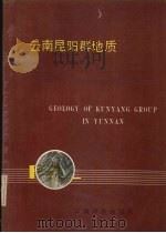 云南昆阳群地质 1990 PDF电子版封面 7541602663 吴懋德,段锦荪,陈良忠等著