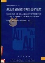 黑龙江省团结沟斑岩金矿地质 1995 PDF电子版封面 7502812172 中国人民武装警察部队黄金指挥部编著