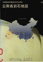 云南省岩石地层（1996 PDF版）