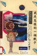 我是怎样的一个瓶子 1993 PDF电子版封面 7805756023 刘心武编