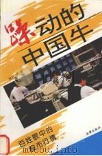 躁动的中国牛 百姓眼中的股市行情 1995 PDF电子版封面 7503615524 钱石明著