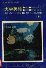大学英语综合目标指要与检测 上 精读、语法与练习、泛读、快速阅读 1994 PDF电子版封面 7507207676 王迈迈,郑征主编