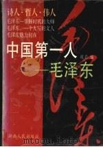 中国第一人-毛泽东 1999 PDF电子版封面 7543819023 胡真编