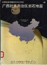 广西壮族自治区岩石地层（1997 PDF版）