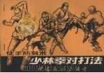 徒手防身术  少林拳对打法（ PDF版）