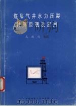 煤层气井水力压裂计算原理及应用（1997 PDF版）